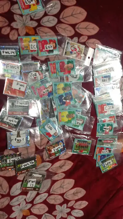 Colección de tarjetas de fútbol Panini - miniatura 1