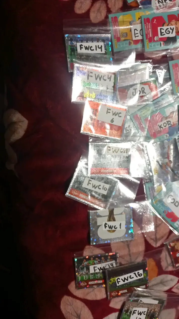 Colección de tarjetas de fútbol Panini - 4