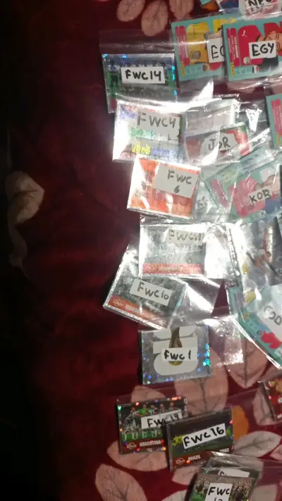 Colección de tarjetas de fútbol Panini - miniatura 4
