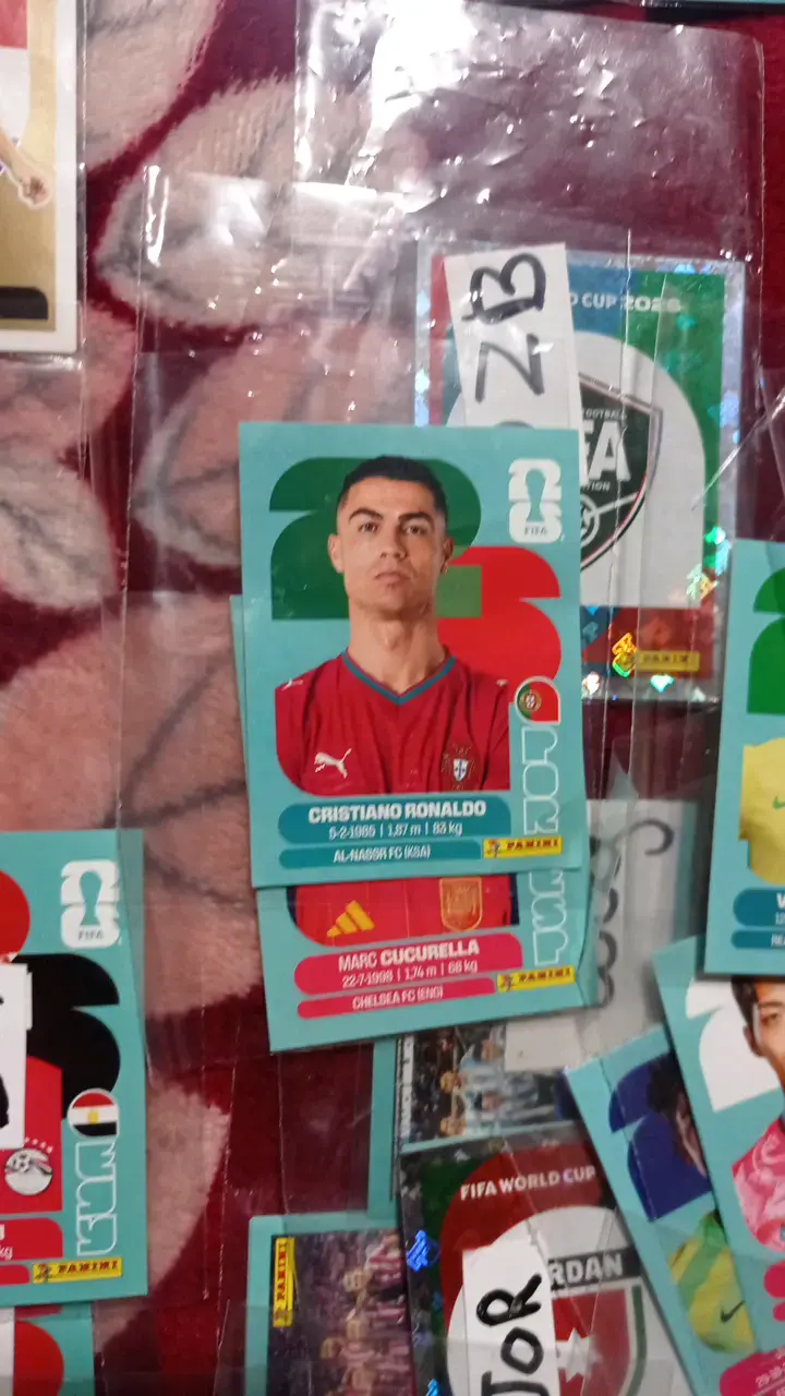Colección de tarjetas de fútbol Panini - 5