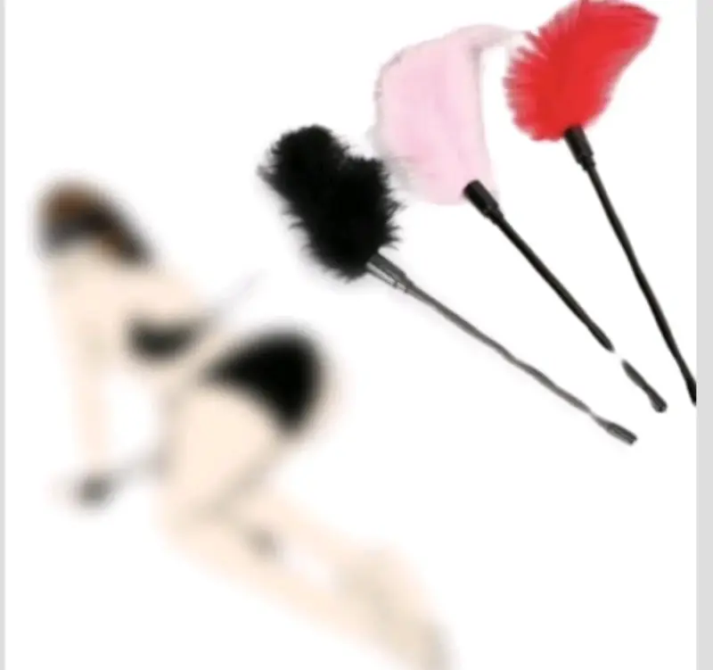 🎀 Plumas para despertar tus sentidos 🎀