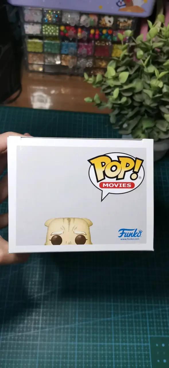 Funko Pop Puss in Boots Shrek Exclusivo - 3