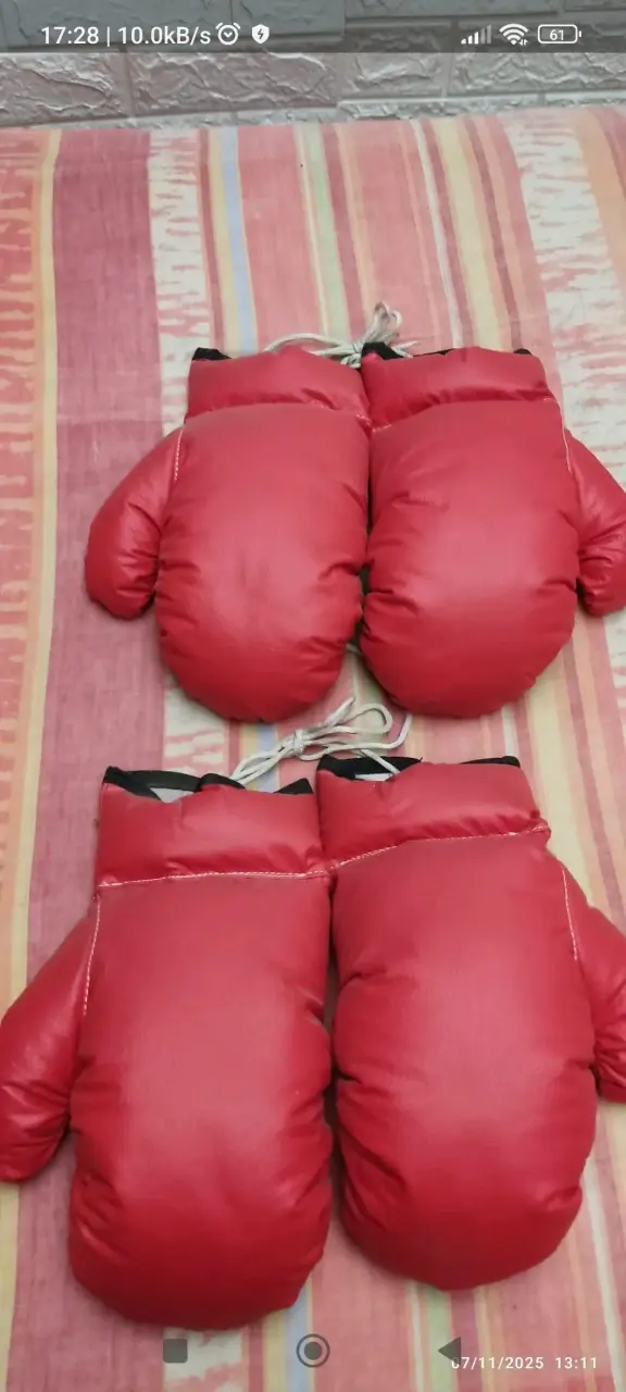 Guantes de Boxeo Rojos para Entrenamiento - 1