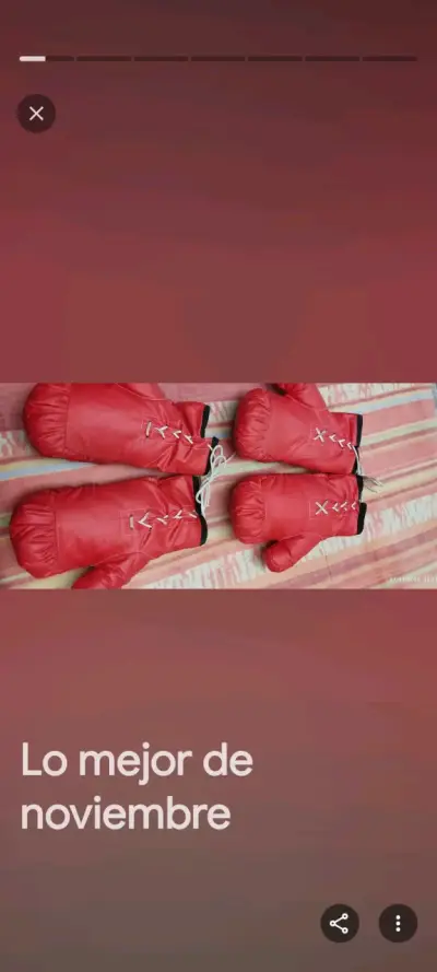 Guantes de Boxeo Rojos para Entrenamiento - miniatura 4
