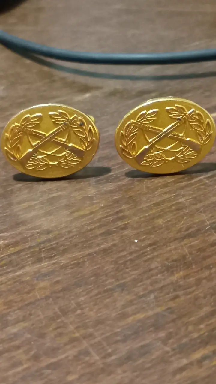 Gemelos dorados con diseño de hojas