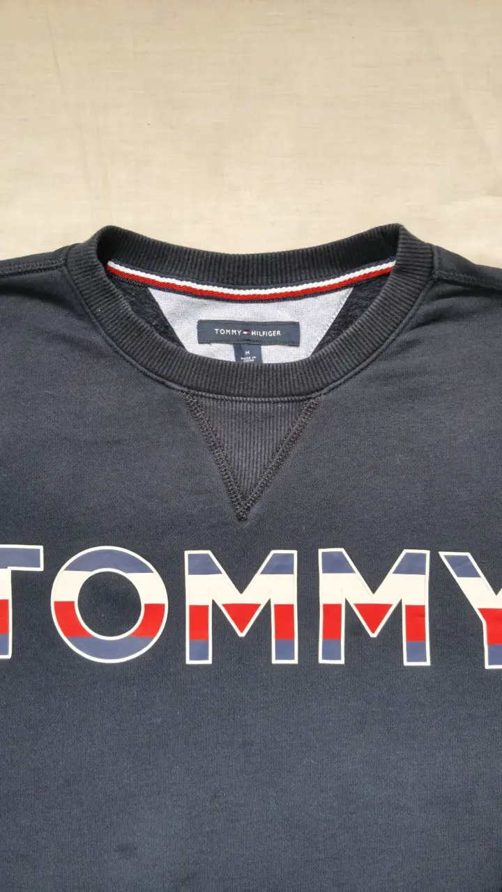 Polerón Tommy Hilfiger azul marino - 2