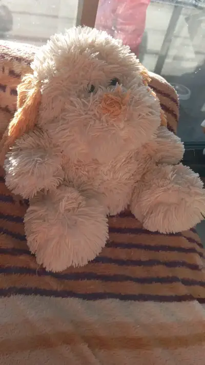 Peluche de perro suave beige - miniatura 1