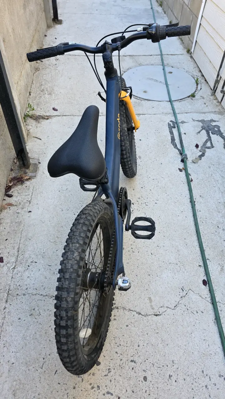 Bicicleta Roda Pro Series 20 pulgadas para niños - 1