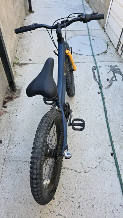 Bicicleta Roda Pro Series 20 pulgadas para niños - miniatura 1