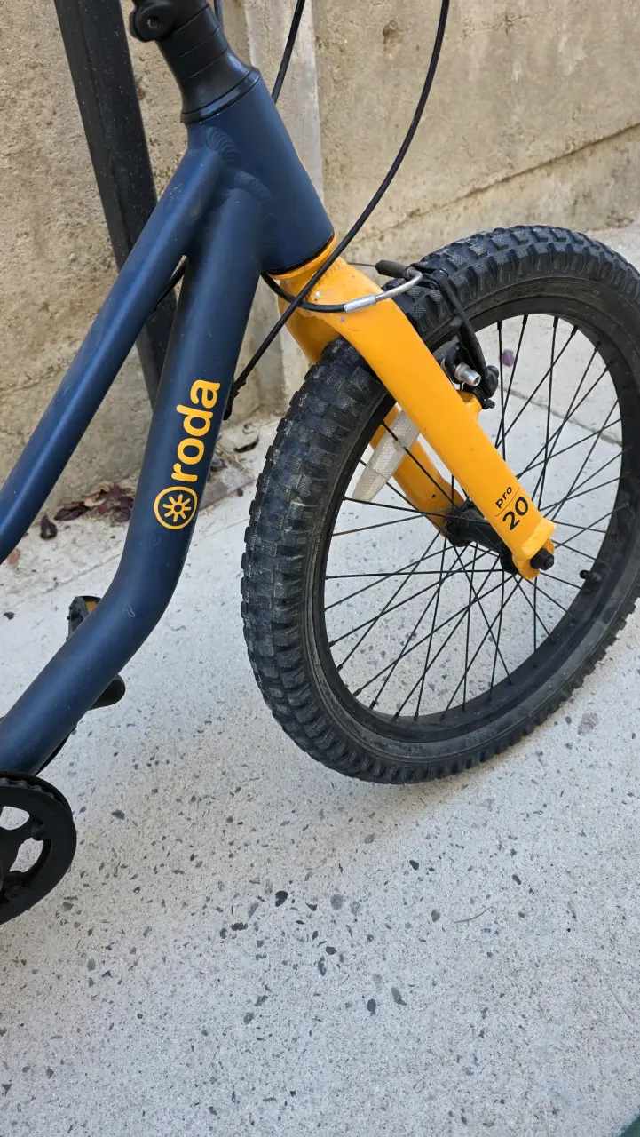 Bicicleta Roda Pro Series 20 pulgadas para niños - 2