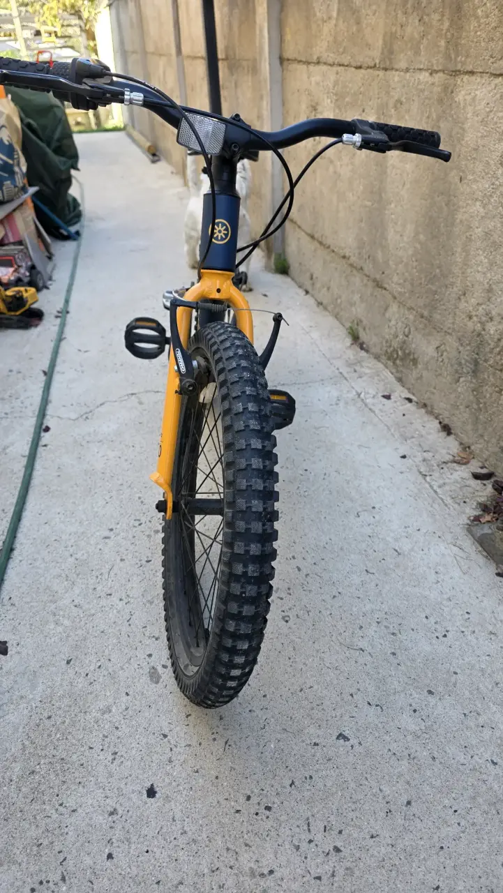 Bicicleta Roda Pro Series 20 pulgadas para niños - 3