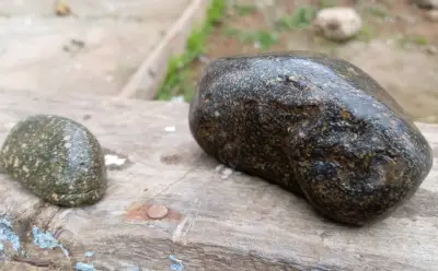 Petifricados núcleo diamante cortesa oro. - miniatura 1