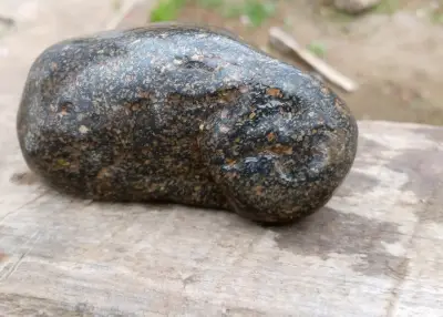 Petifricados núcleo diamante cortesa oro. - miniatura 2