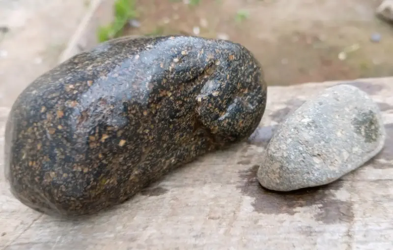 Petifricados núcleo diamante cortesa oro. - 4