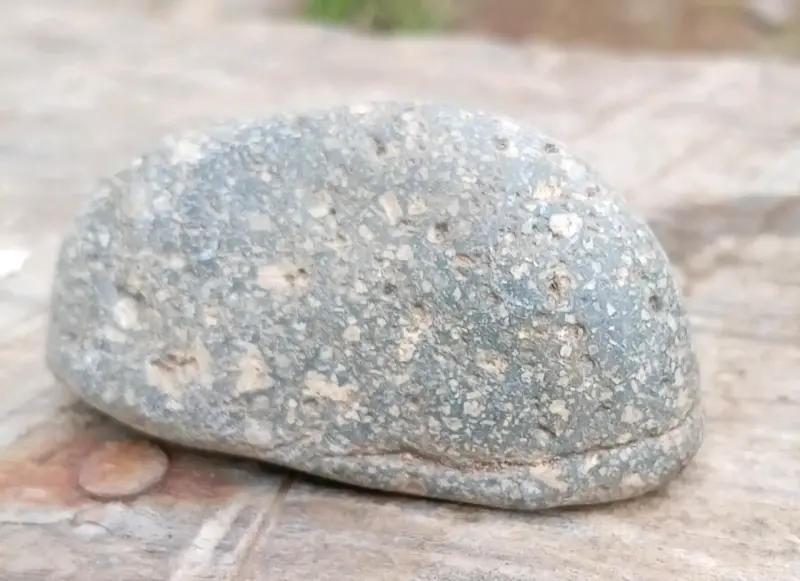Petifricados núcleo diamante cortesa oro. - 6