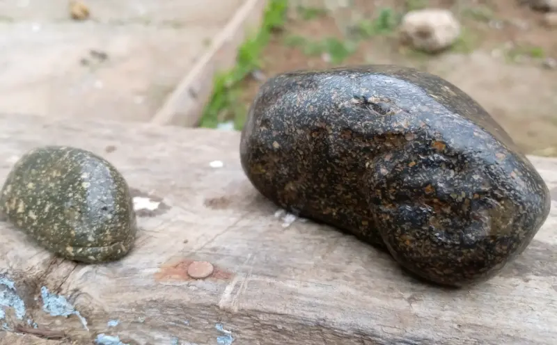 Petifricados núcleo diamante cortesa oro. - 7