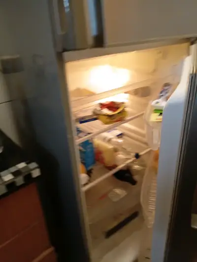 Refrigerador de dos puertas en acero inoxidable - miniatura 3