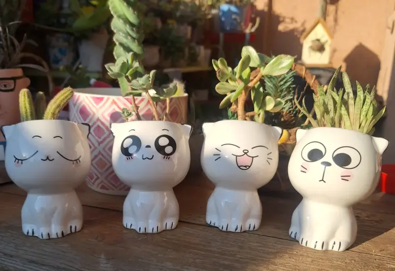 Macetero de cerámica con diseño de gato - 1
