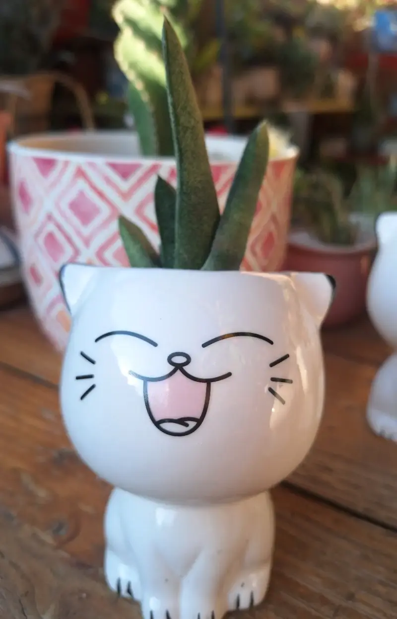 Macetero de cerámica con diseño de gato - 2