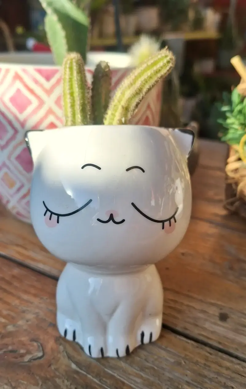 Macetero de cerámica con diseño de gato - 3
