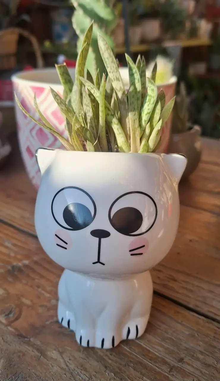 Macetero de cerámica con diseño de gato - 4