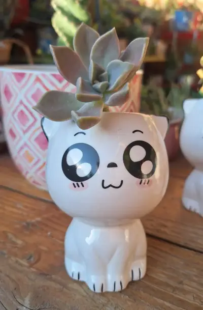 Macetero de cerámica con diseño de gato - miniatura 5