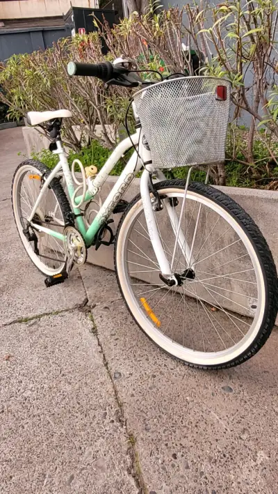 Bicicleta Oxford para adulto con canasto - miniatura 1