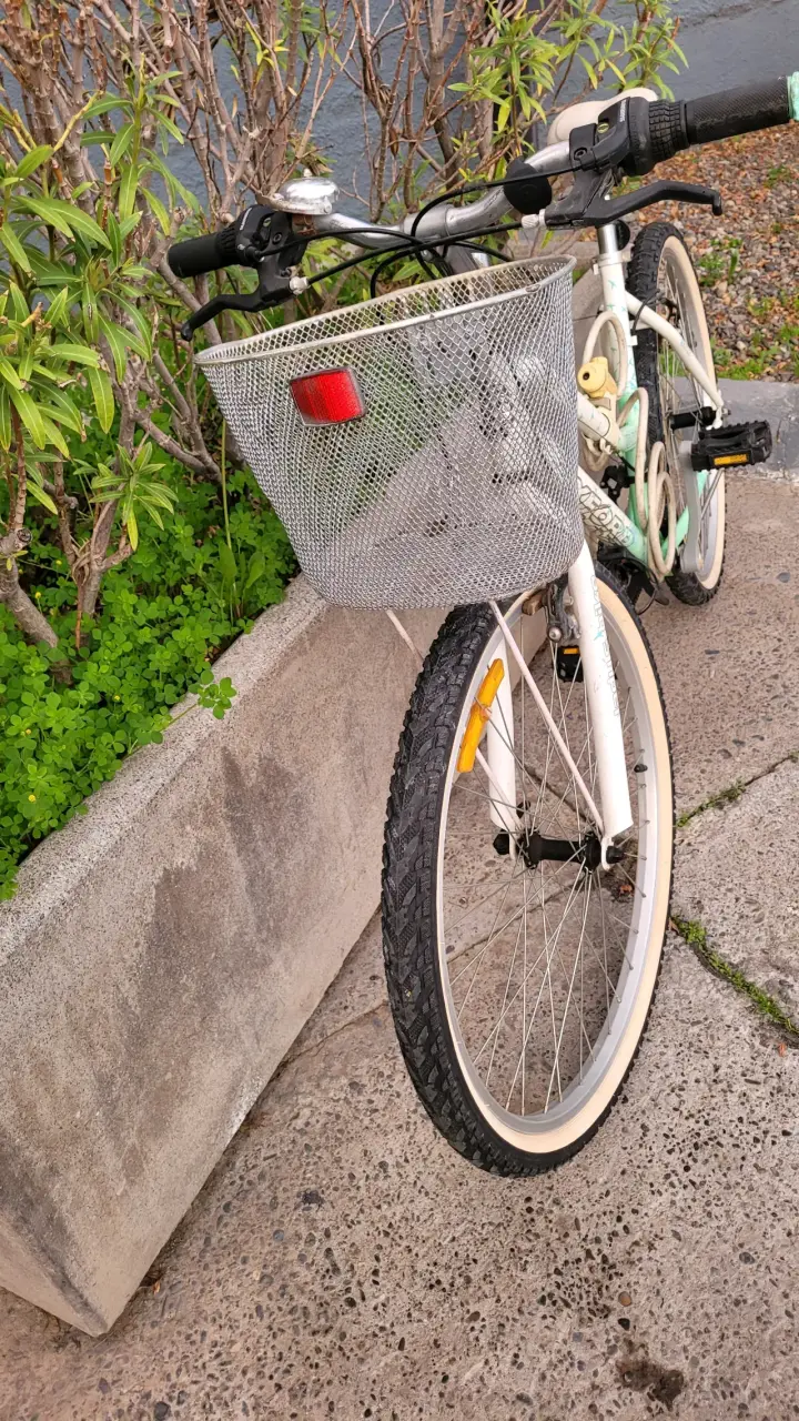 Bicicleta Oxford para adulto con canasto - 2