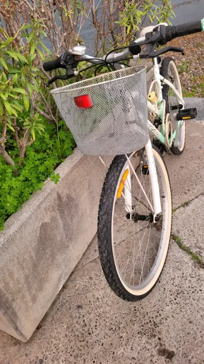 Bicicleta Oxford para adulto con canasto - miniatura 2