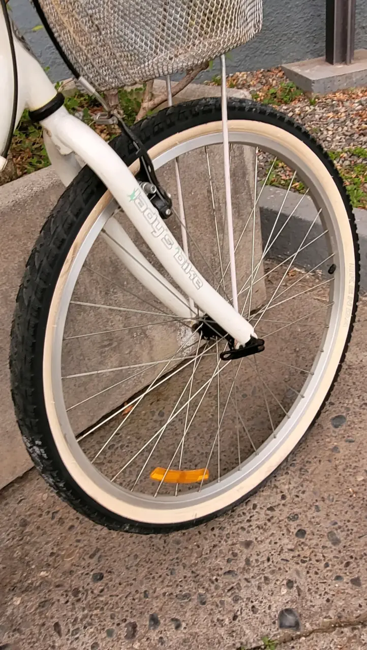 Bicicleta Oxford para adulto con canasto - 3