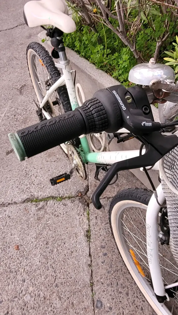 Bicicleta Oxford para adulto con canasto - 4