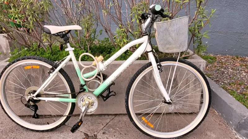 Bicicleta Oxford para adulto con canasto - 5