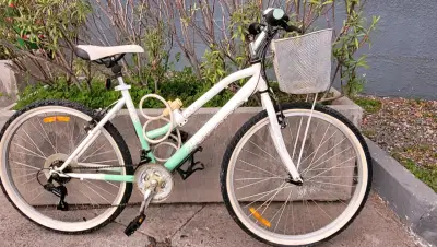Bicicleta Oxford para adulto con canasto - miniatura 5