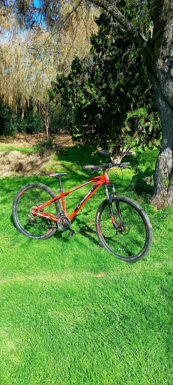 Bicicleta de montaña Lahsen Jaguar - 2