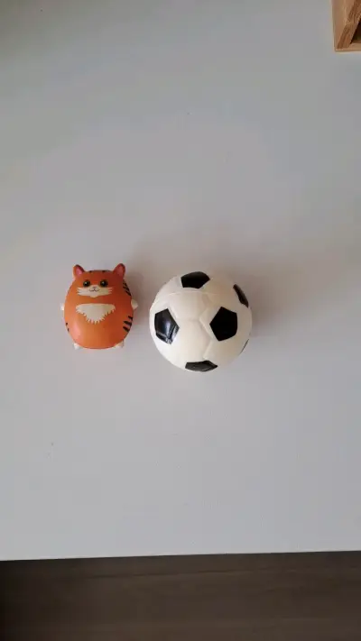 Scuishys - miniatura 4