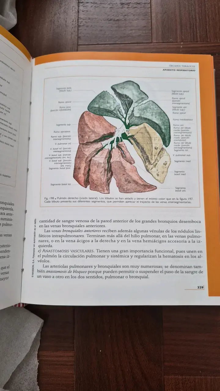 Libro Anatomía Humana Tomo 2 Tronco - 2