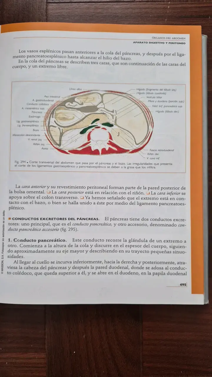 Libro Anatomía Humana Tomo 2 Tronco - 3