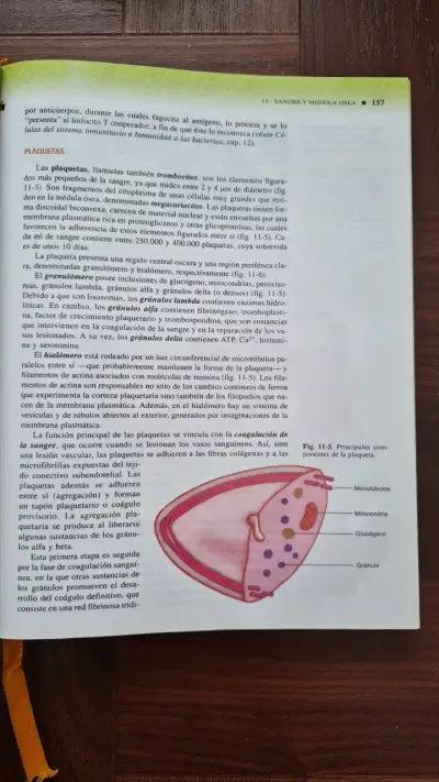 Libro Histología de Di Fiore Texto y Atlas 2ª Ed. - miniatura 2