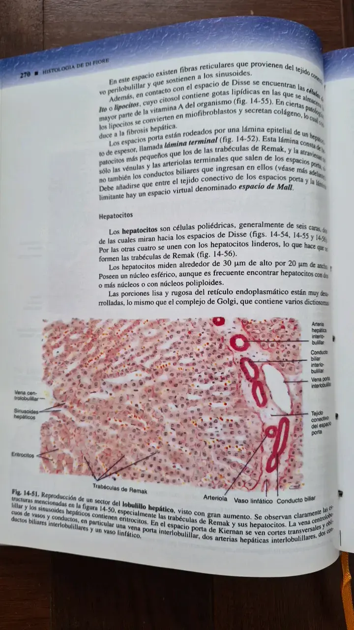 Libro Histología de Di Fiore Texto y Atlas 2ª Ed. - 3