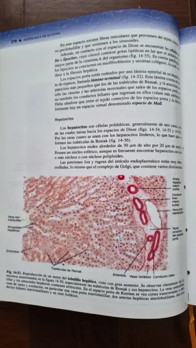 Libro Histología de Di Fiore Texto y Atlas 2ª Ed. - miniatura 3