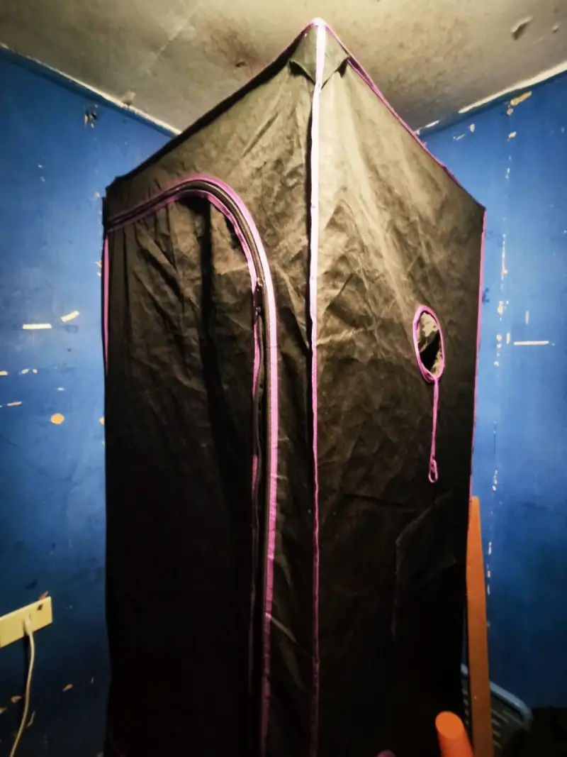 Carpa de cultivo interior negra