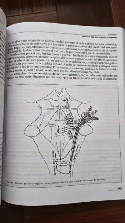 Libro Anatomía Humana Rouvière 11ª Edición - miniatura 3