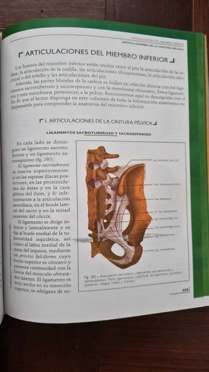 Libro Anatomía Humana Rouvière Tomo 3 Miembros - 2