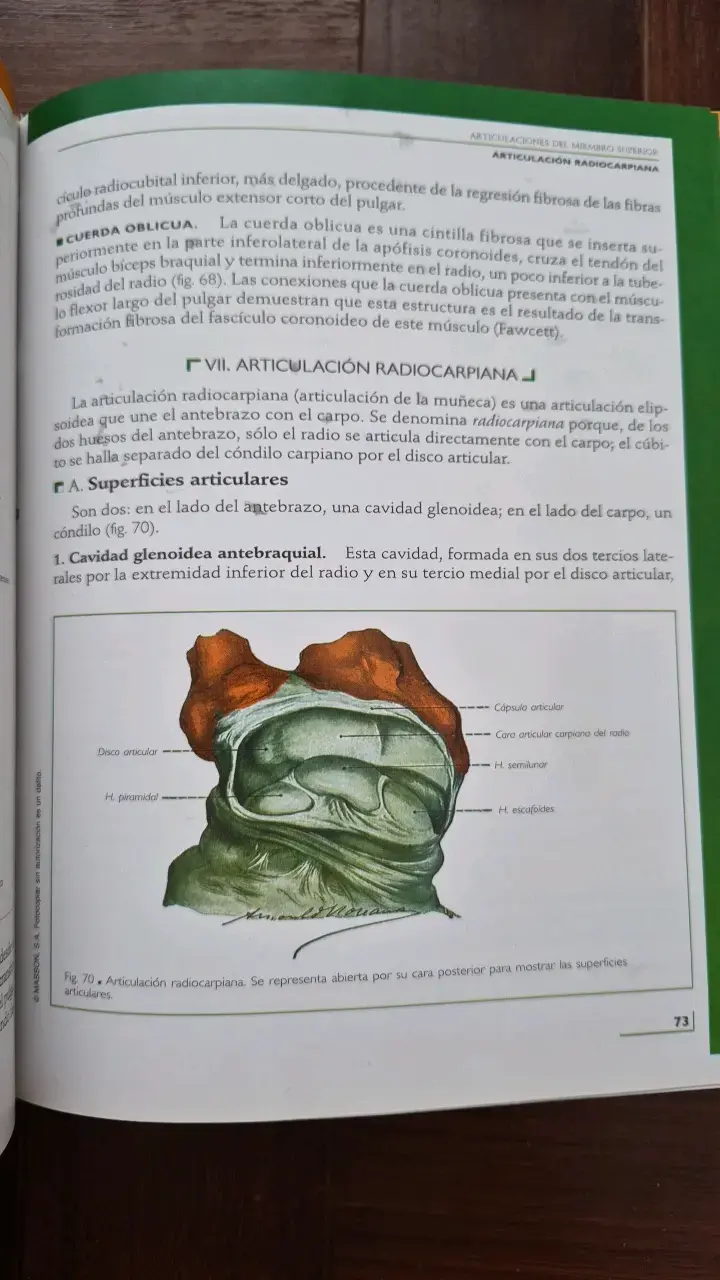 Libro Anatomía Humana Rouvière Tomo 3 Miembros - 4