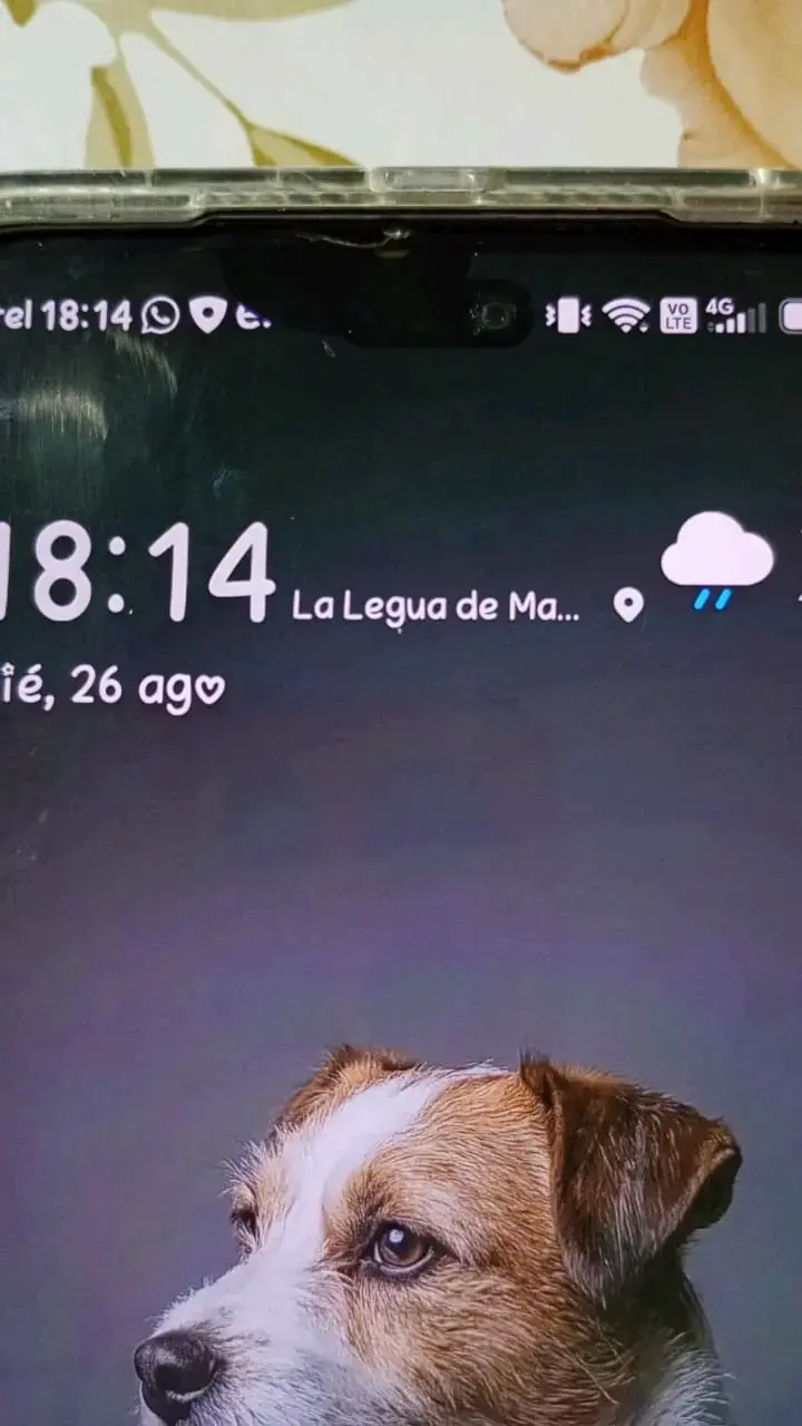 Smartphone Honor 400 lite - 1