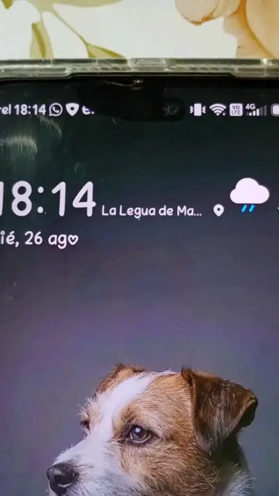 Smartphone Honor 400 lite - miniatura 1