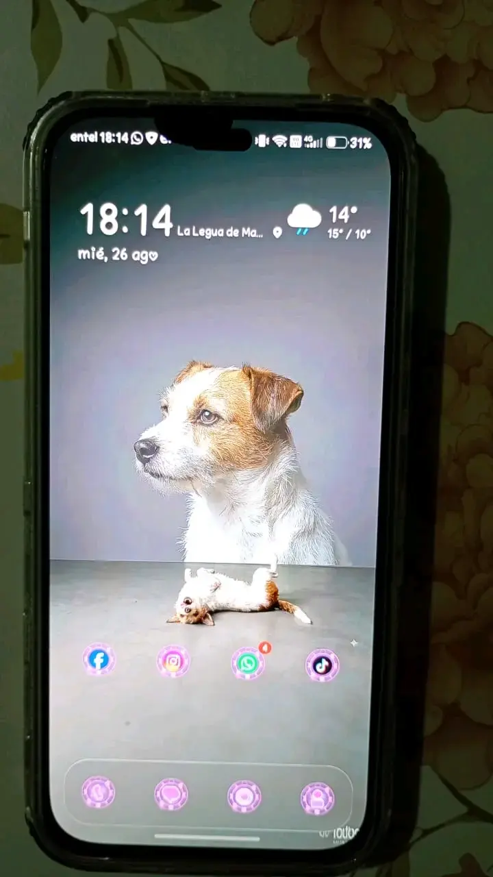 Smartphone Honor 400 lite - 3