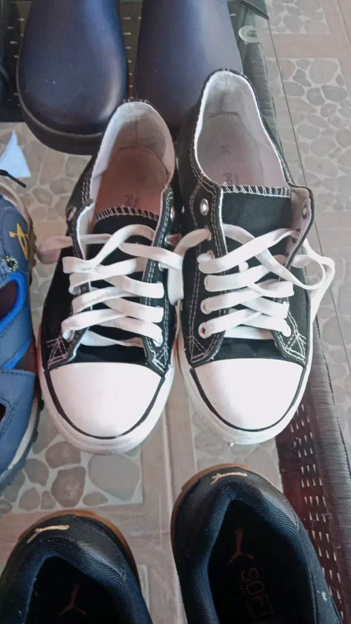 Pack de Zapatos todos a 65.000 pesos - 4