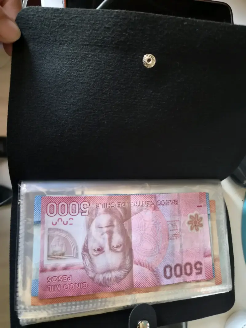 Billetera organizadora de dinero con broche seguro - 2