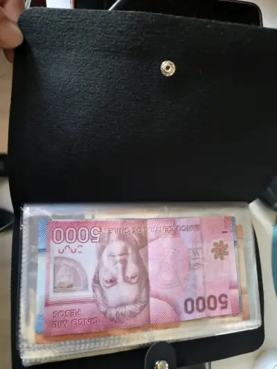 Billetera organizadora de dinero con broche seguro - miniatura 2